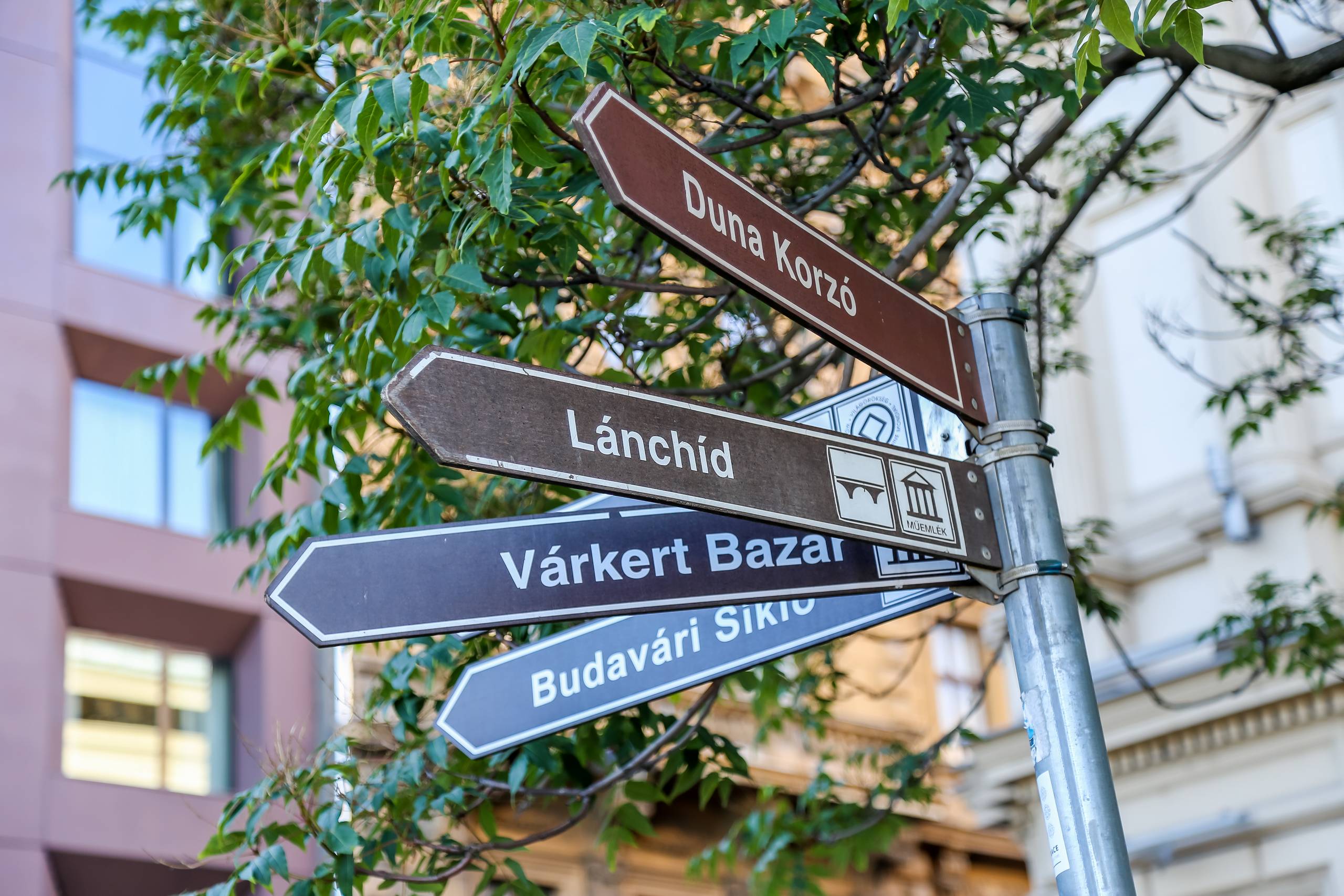2018 Budapest   145